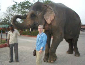 Beth with elephant on way back to Delhi from Agra.